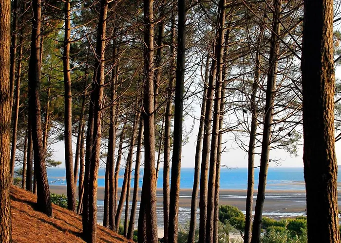 Centre - T2 Confortable Avec Balcon Et Parking Prive - Fr-1-420-156 *